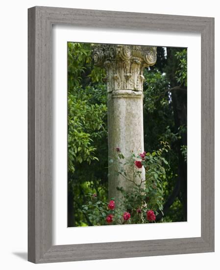 Andalucia, Seville, A Classical Column Surrounded by Roses in Gardens of Alcazar Palace, Spain-John Warburton-lee-Framed Photographic Print