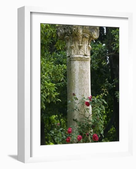 Andalucia, Seville, A Classical Column Surrounded by Roses in Gardens of Alcazar Palace, Spain-John Warburton-lee-Framed Photographic Print