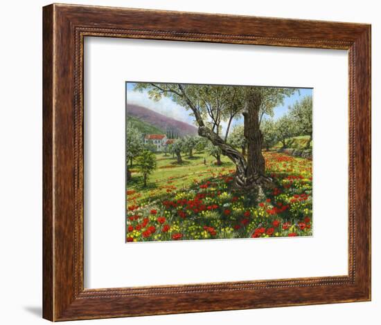 Andalucian Olive Grove-Richard Harpum-Framed Art Print