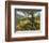 Andalucian Olive Grove-Richard Harpum-Framed Art Print