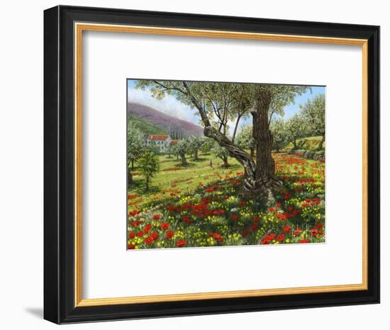 Andalucian Olive Grove-Richard Harpum-Framed Art Print