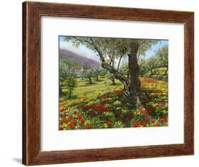 Andalucian Olive Grove-Richard Harpum-Framed Art Print