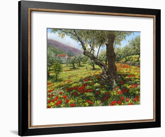 Andalucian Olive Grove-Richard Harpum-Framed Art Print