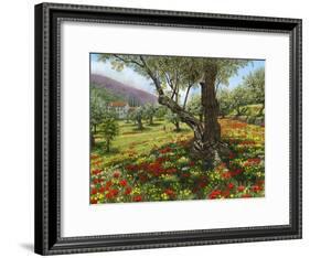 Andalucian Olive Grove-Richard Harpum-Framed Art Print
