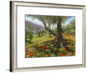 Andalucian Olive Grove-Richard Harpum-Framed Art Print