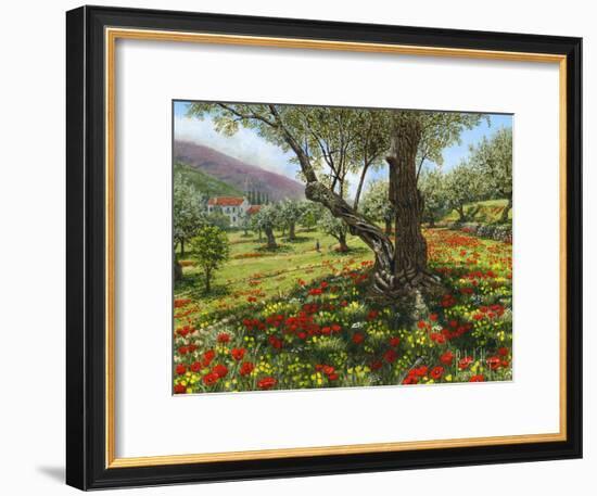 Andalucian Olive Grove-Richard Harpum-Framed Art Print
