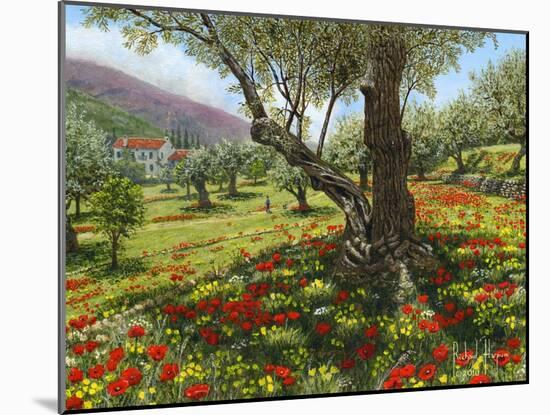Andalucian Olive Grove-Richard Harpum-Mounted Art Print