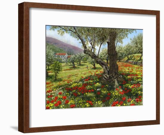 Andalucian Olive Grove-Richard Harpum-Framed Art Print