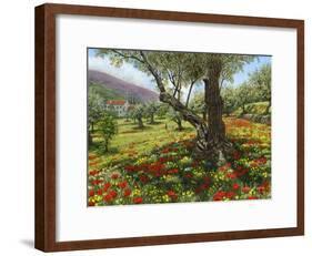 Andalucian Olive Grove-Richard Harpum-Framed Art Print