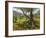 Andalucian Olive Grove-Richard Harpum-Framed Art Print