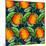 Andalucian Oranges, 2017-Andrew Watson-Mounted Giclee Print