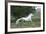 Andalusian 001-Bob Langrish-Framed Photographic Print