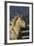 Andalusian 016-Bob Langrish-Framed Photographic Print