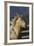 Andalusian 016-Bob Langrish-Framed Photographic Print