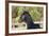 Andalusian 038-Bob Langrish-Framed Photographic Print