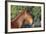 Andalusian 057-Bob Langrish-Framed Photographic Print