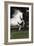 Andalusian 063-Bob Langrish-Framed Photographic Print