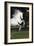 Andalusian 063-Bob Langrish-Framed Photographic Print