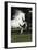 Andalusian 063-Bob Langrish-Framed Photographic Print