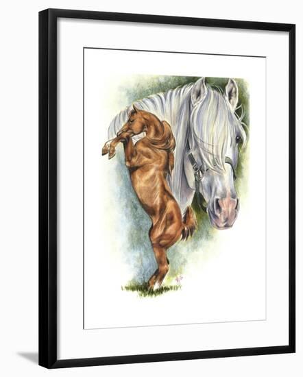 Andalusian - Spanish Mustang-Barbara Keith-Framed Giclee Print