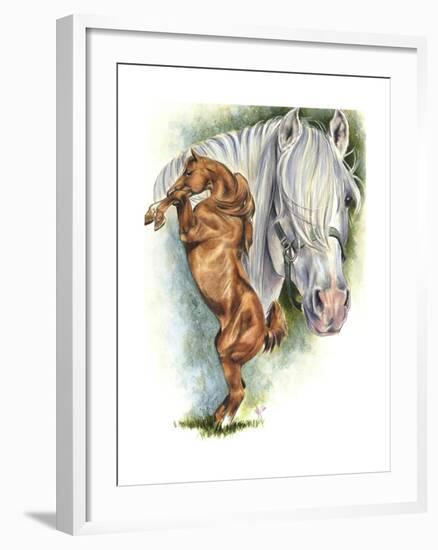 Andalusian - Spanish Mustang-Barbara Keith-Framed Giclee Print