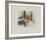 Andante-Annapia Antonini-Framed Limited Edition