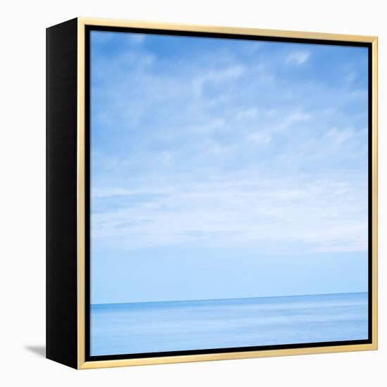 Andante-Doug Chinnery-Framed Premier Image Canvas