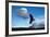 Andean Condor (Vultur Gryphus) Flying over Torres Del Paine National Park, Chilean Patagonia, Chile-G & M Therin-Weise-Framed Photographic Print