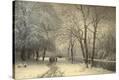 Stretched Canvas Print