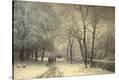 Stretched Canvas Print