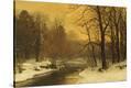 Stretched Canvas Print
