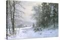 Stretched Canvas Print