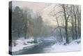 Stretched Canvas Print