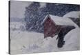 Stretched Canvas Print
