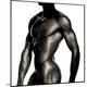 Premium Photographic Print