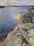 Landscape Study of Mora-Anders Zorn-Giclee Print