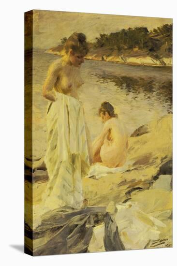 Stretched Canvas Print, , large