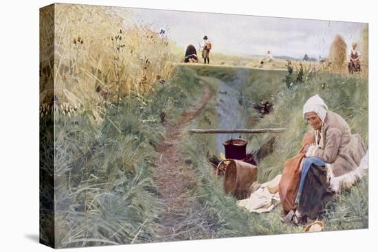 Stretched Canvas Print, , large