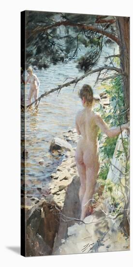 Stretched Canvas Print, , large