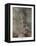 Andersen: Little Mermaid-Arthur Rackham-Framed Premier Image Canvas