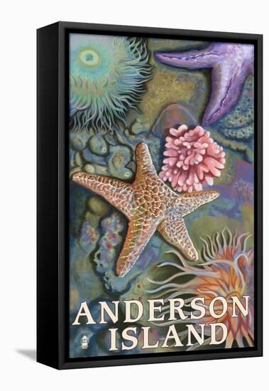 Anderson Island, WA Tidepools-Lantern Press-Framed Stretched Canvas