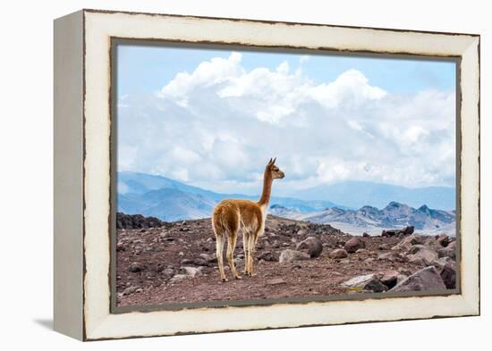 Andes of Central Ecuador-xura-Framed Premier Image Canvas