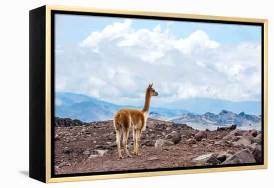 Andes of Central Ecuador-xura-Framed Premier Image Canvas