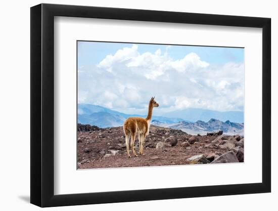 Andes of Central Ecuador-xura-Framed Photographic Print