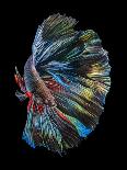 INK BETTA-Andi Halil-Framed Premier Image Canvas