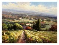 Italian Vineyards-Andino-Art Print