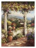 Coveside Terrace-Andino-Framed Art Print