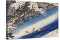 Stretched Canvas Print