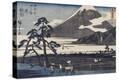 Stretched Canvas Print