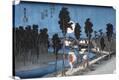Stretched Canvas Print